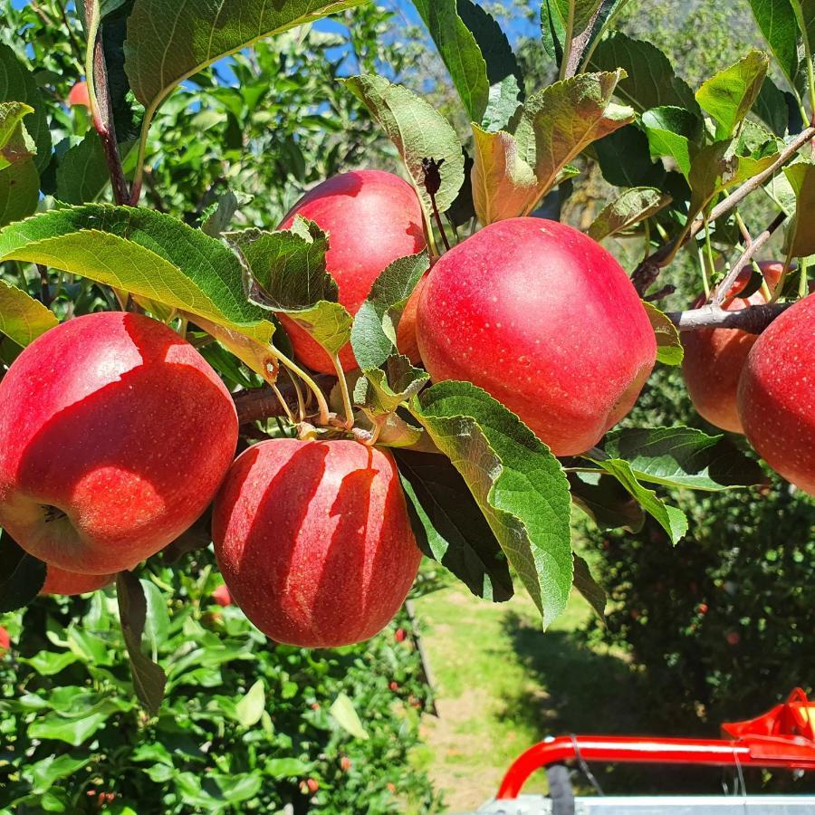 Mareinhof Vetzan-Apples,Apartment&More Silandro Bagian luar foto